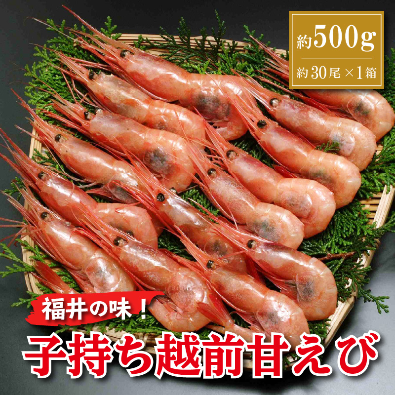̖IqzOÂсID 500g Ⓚ ÊCV [011-a003]y։sӂ邳Ɣ[Łz䌧։s13500ECYGr