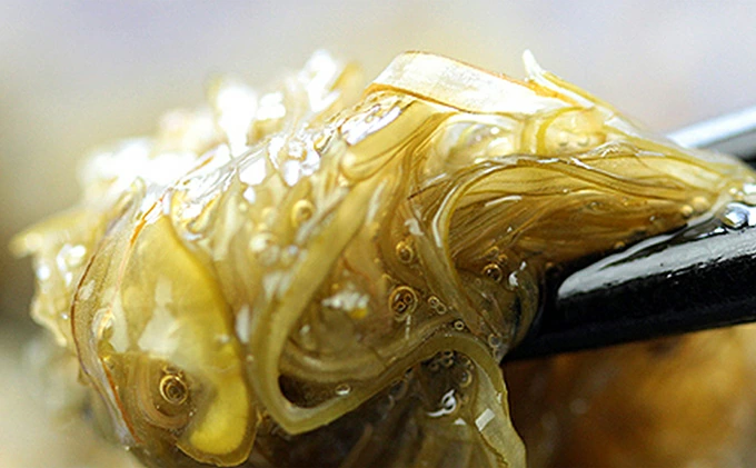 Ɩpߔ[z10 [024-a006] y։sӂ邳Ɣ[Łz䌧։s10000ECŶEC