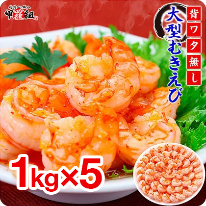 yw^ȂzubN^CK[i^ނсju1kg/40`70v × 5Zbgybgzy։sӂ邳Ɣ[Łz[024-a044]䌧։s50000ECYGr
