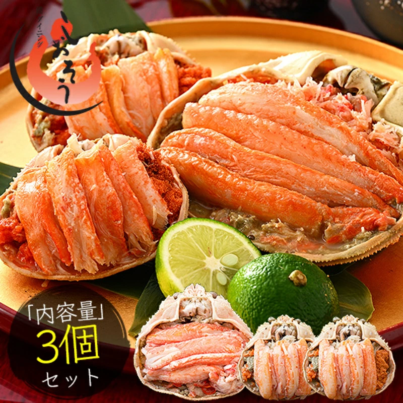 YCbi1jƃZCRIbi2jZbg [053-a034]y։sӂ邳Ɣ[Łz䌧։s20000ECYJj