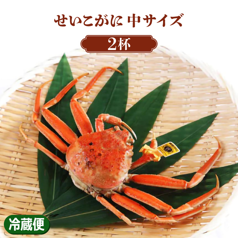 ys\z TCY × 2t[076-c001]䌧։s26000ECYJj