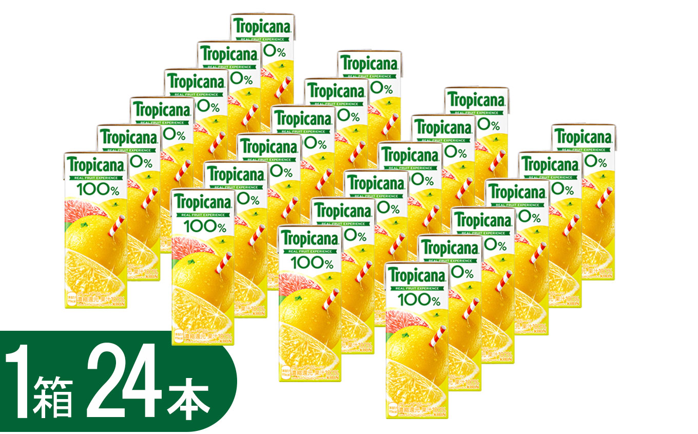 トロピカーナ100%グレープフルーツ (250ml紙パック×24本) | ジュース 飲み物 飲料 栃木県栃木県下野市16000お茶・飲料果汁・野菜飲料