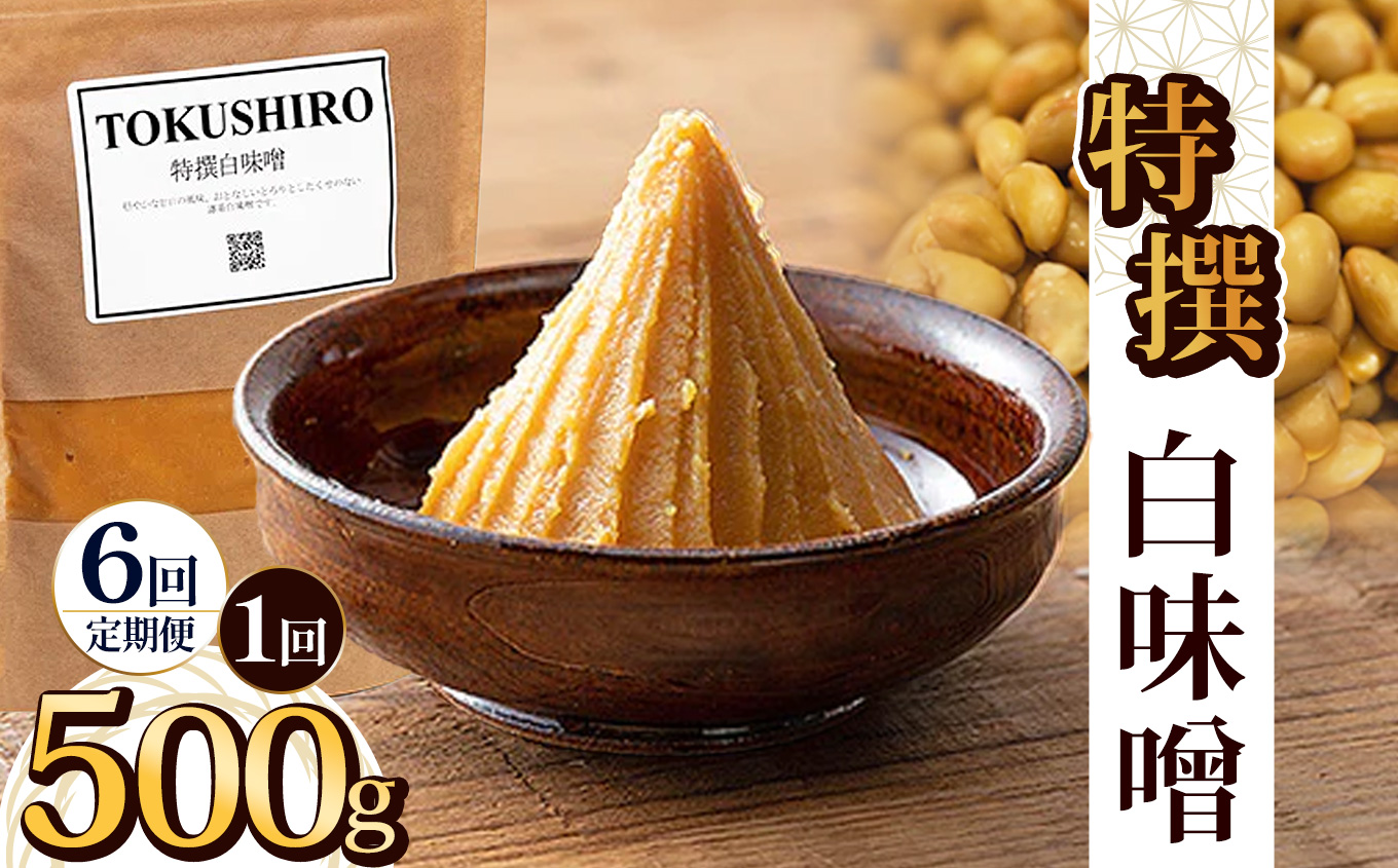 【定期便6回】特撰白味噌 500g | お味噌 味噌 みそ汁 オリジナル味噌  手づくり 手作り  栃木県 下野市栃木県下野市30000調味料・油味噌