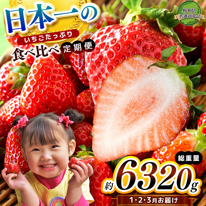 【栃木県共通返礼品】【定期便3回】【先行予約】日本一のいちごたっぷり食べ比べ定期便栃木県下野市47000果物・フルーツいちご