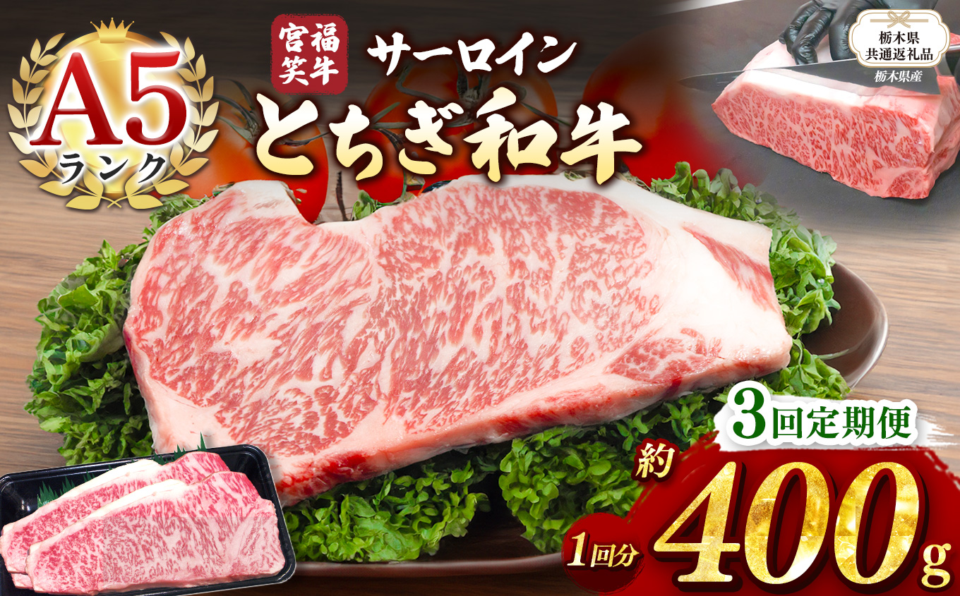 【栃木県共通返礼品】【定期便3回】宮福笑牛(とちぎ和牛) A5 サーロインステーキ 約200gx2枚  | 黒毛 和牛 牛肉 焼肉 とろける 霜降り 赤身 切り落とし ふるさと 納税 イチオシ おすすめ 栃