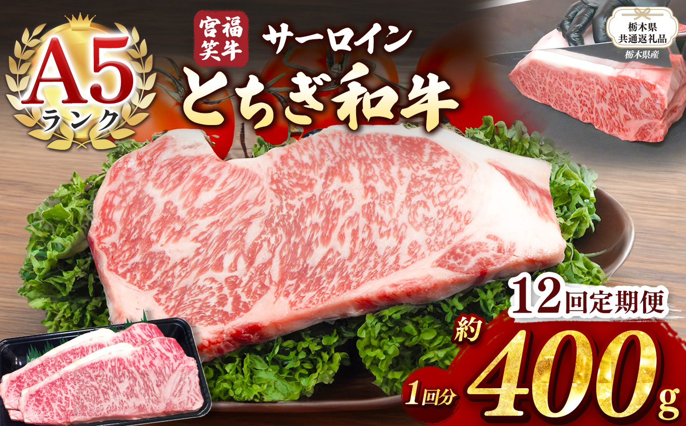 【栃木県共通返礼品】【定期便12回】宮福笑牛(とちぎ和牛) A5 サーロインステーキ 約200gx2枚  | 黒毛 和牛 牛肉 焼肉 とろける 霜降り 赤身 切り落とし ふるさと 納税 イチオシ おすすめ 栃木