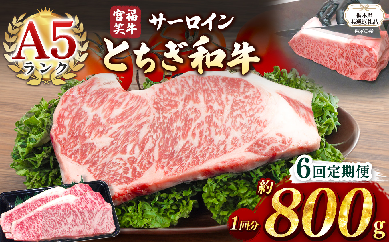 【栃木県共通返礼品】【定期便6回】宮福笑牛(とちぎ和牛) A5 サーロインステーキ 約200gx4枚  | 黒毛 和牛 牛肉 焼肉 とろける 霜降り 赤身 切り落とし ふるさと 納税 イチオシ おすすめ 栃木