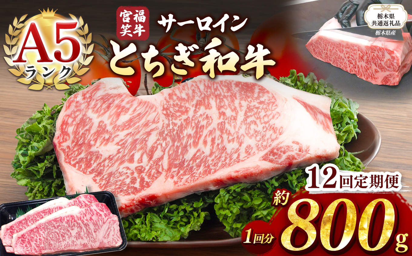【栃木県共通返礼品】【定期便12回】宮福笑牛(とちぎ和牛) A5 サーロインステーキ 約200gx4枚  | 黒毛 和牛 牛肉 焼肉 とろける 霜降り 赤身 切り落とし ふるさと 納税 イチオシ おすすめ 栃木