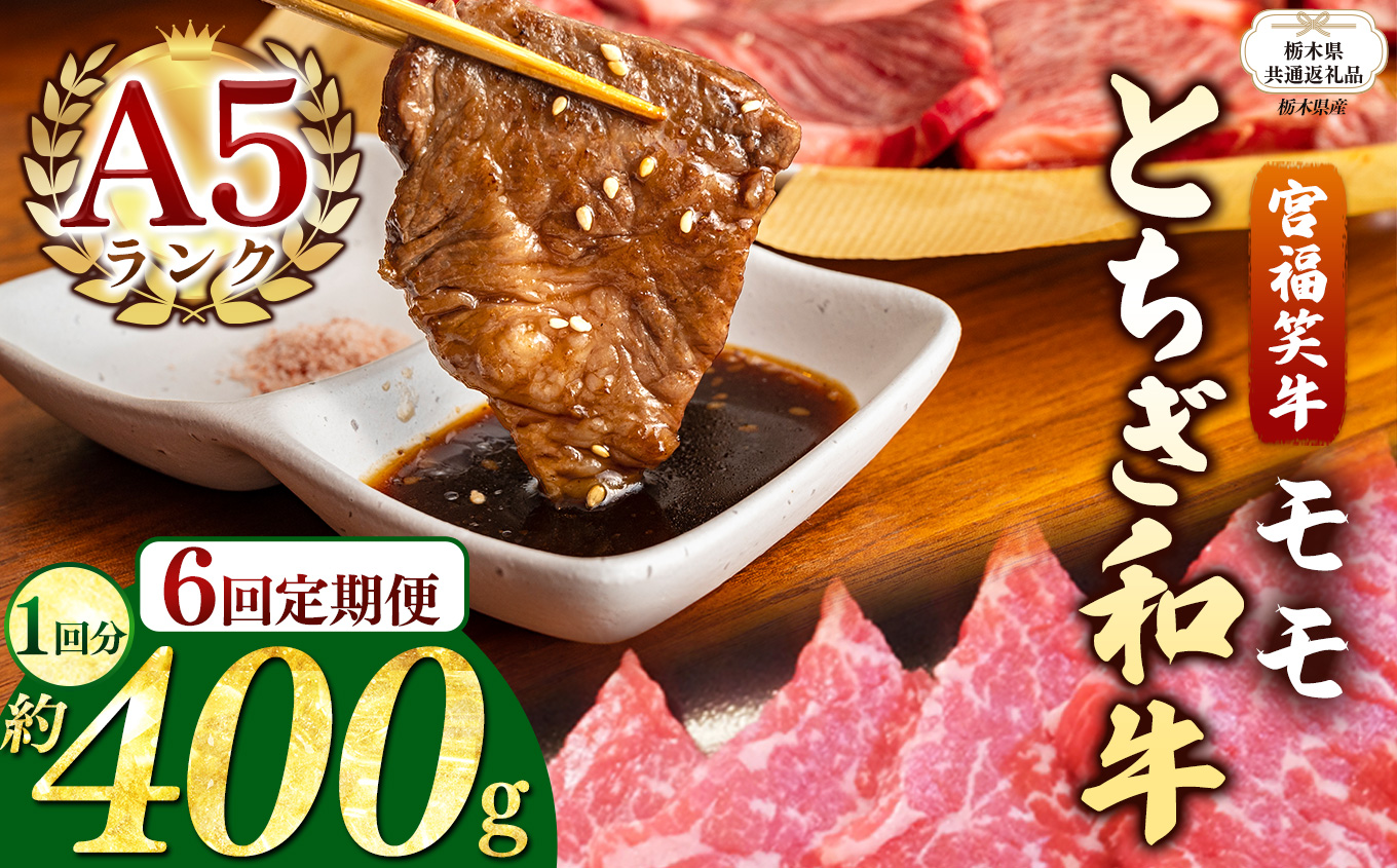 【栃木県共通返礼品】【定期便6回】宮福笑牛(とちぎ和牛) A5 モモ焼き肉 約400g  | 黒毛 和牛 牛肉 焼肉 とろける 霜降り 赤身 切り落とし ふるさと 納税 イチオシ おすすめ 栃木県 下野市 しも