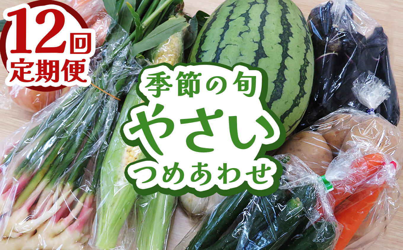 【定期便12回】下野市産 季節の旬野菜詰め合わせ | 旬野菜 詰め合わせ 野菜セット 地元野菜 栃木県産 新鮮野菜 産地直送 野菜通販 無農薬野菜 季節野菜 朝採れ野菜 地場野菜 お取り寄せ 下