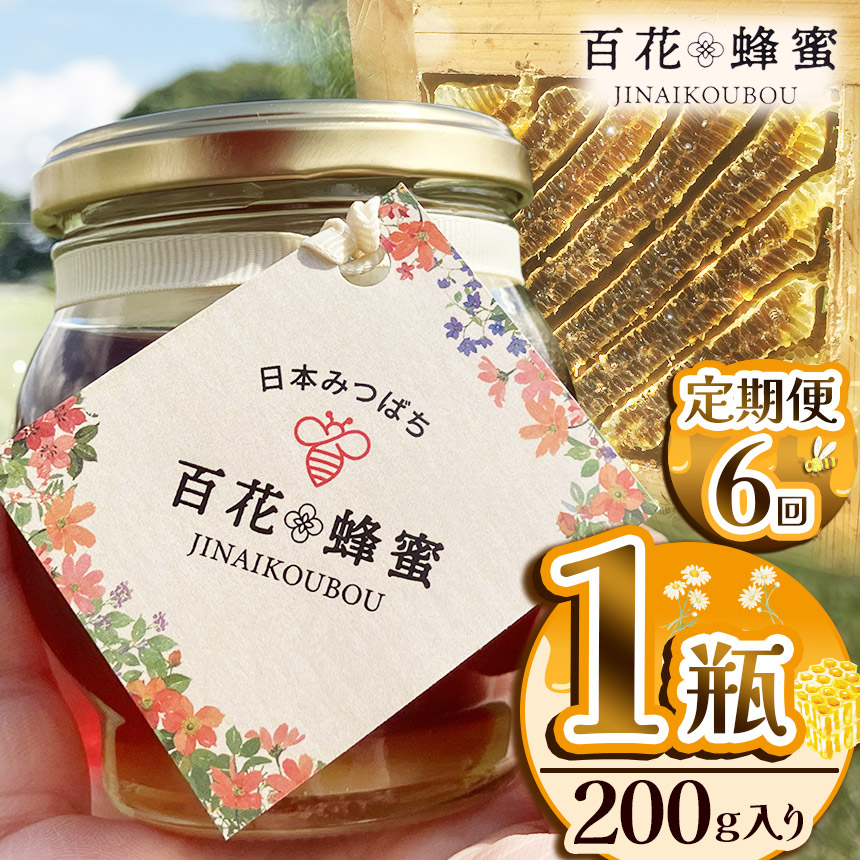 【定期便6回】日本ミツバチの百花蜂蜜(1瓶)栃木県下野市66000鍋セット・総菜・加工食品ジャム・はちみつ