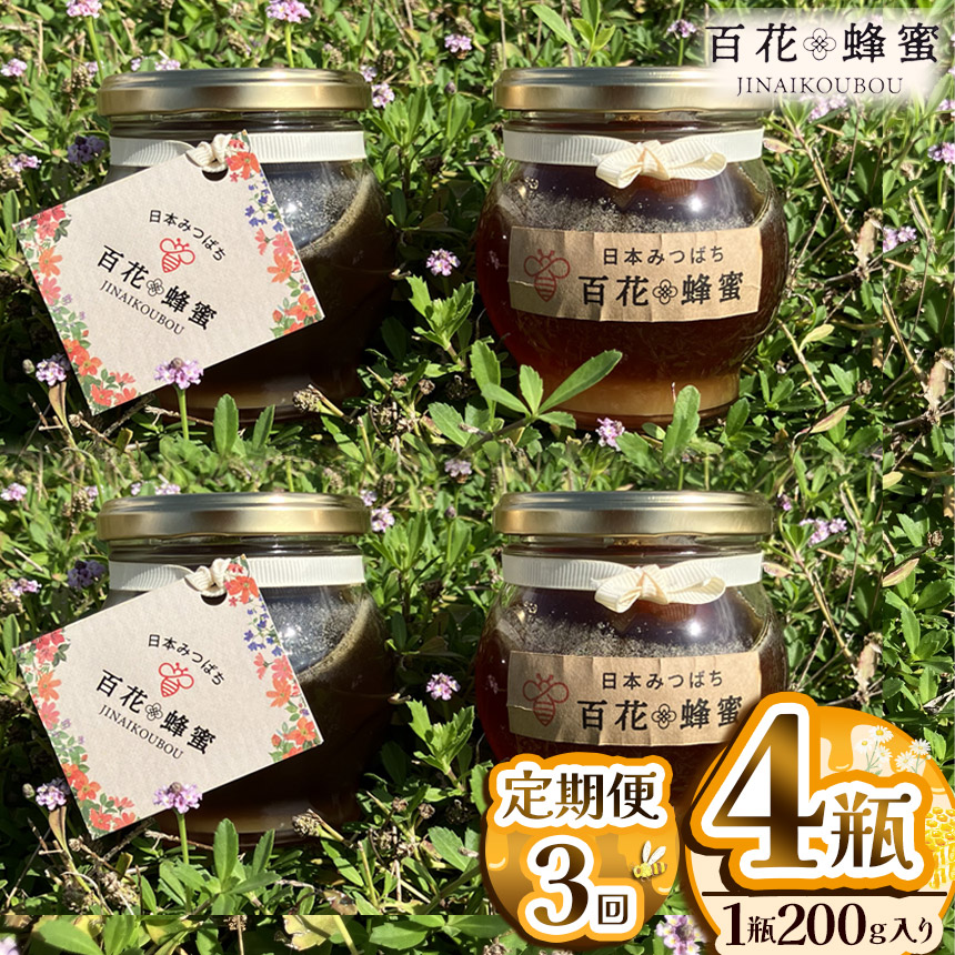 【定期便3回】日本ミツバチの百花蜂蜜(4瓶)栃木県下野市108000鍋セット・総菜・加工食品ジャム・はちみつ