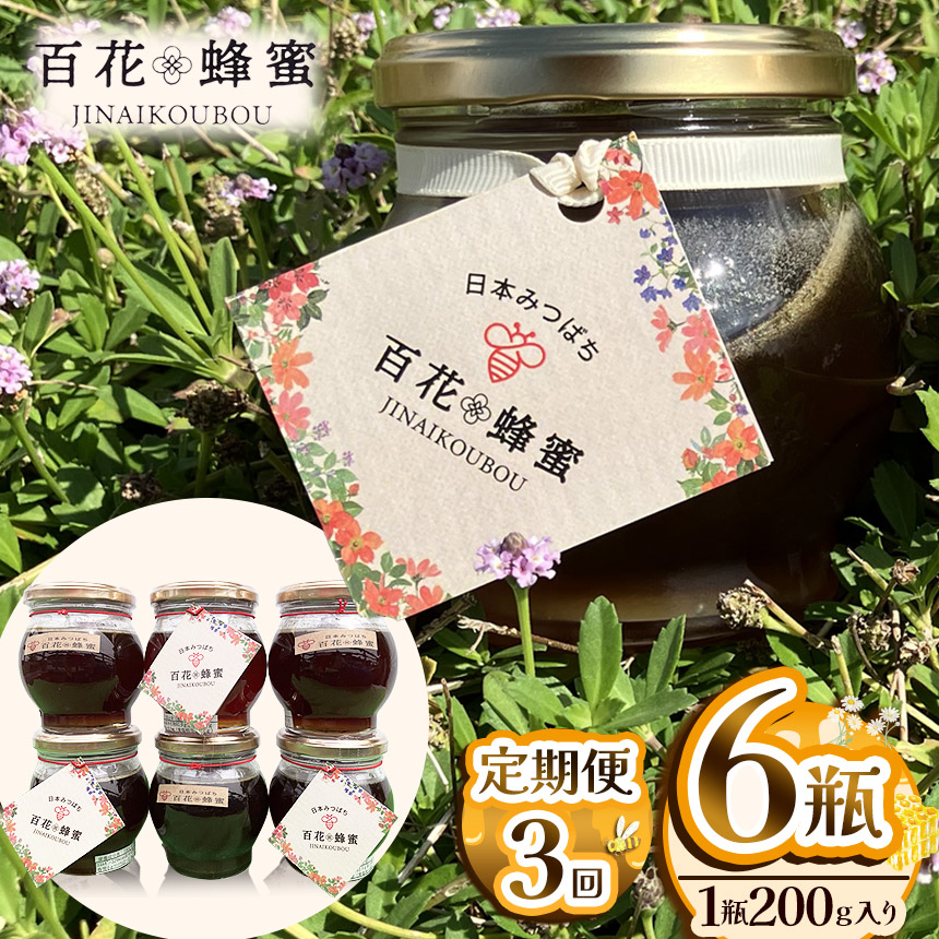 【定期便3回】日本ミツバチの百花蜂蜜(6瓶)栃木県下野市162000鍋セット・総菜・加工食品ジャム・はちみつ