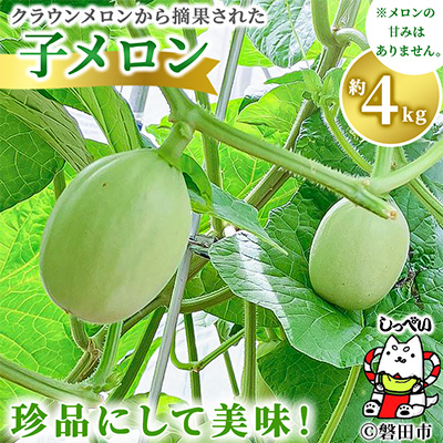 NE̎q@4kgy1416447zÉ֓cs8000ʕEt[cEXCJ