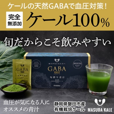 血圧対策+手軽に野菜摂取!【無添加 ケールまるごと100%青汁 原材料 静岡県磐田市産 有機栽培】【1419788】静岡県磐田市18000お茶・飲料果汁・野菜飲料