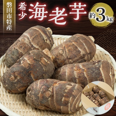 磐田特産海老芋 約3kg【1429098】静岡県磐田市15000野菜・きのこじゃがいも・イモ類