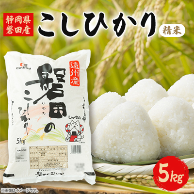 静岡県磐田産コシヒカリ(精米)5kg【1436789】静岡県磐田市16000米・パン白米