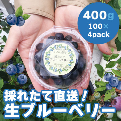 【令和7年5月 順次発送】完熟ブルーベリー生果実・400g 静岡県磐田市産【配送不可地域:離島】【1444671】静岡県磐田市14000果物・フルーツその他 果物・フルーツ