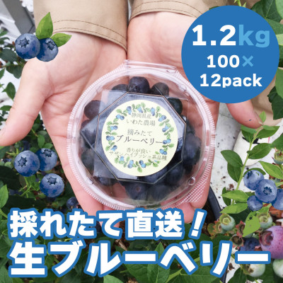 【令和7年5月 順次発送】完熟ブルーベリー生果実・1.2kg 静岡県磐田市産【配送不可地域:離島】【1444674】静岡県磐田市31000果物・フルーツその他 果物・フルーツ