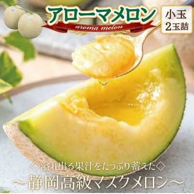 【通年出荷】アローマメロン(小玉) 2玉入【静岡高級マスクメロン】【配送不可地域:離島・北海道・沖縄】【1447109】静岡県磐田市16000果物・フルーツメロン・スイカ