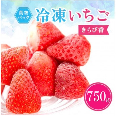 ⓀC`Swҍx250g×3܁yzsnFzy1573852zÉ֓cs8000ʕEt[c