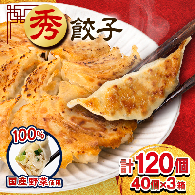 秀餃子 120個(40×3箱)2.4kg 国産野菜と肉の新鮮さにこだわった本気のぎょうざ 国産 冷凍【配送不可地域:離島】【1622598】静岡県磐田市10000鍋セット・総菜・加工食品総菜