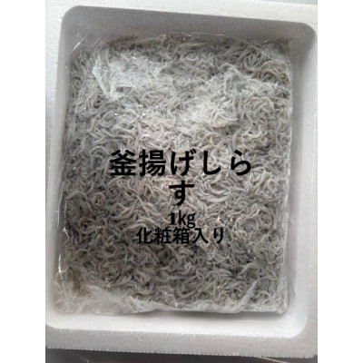 釜揚げしらす 1kg 化粧箱【配送不可地域:離島】【1675703】静岡県磐田市38000魚介・海産物その他 魚介・海産物