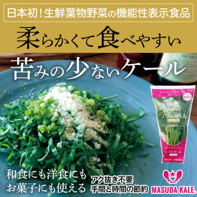 【毎月定期便】TV紹介で大好評 ソフトケール 100g×5袋 健康 腸活応援 スムージー 全12回【配送不可地域:離島】【4003773】静岡県磐田市72000野菜・きのこその他 野菜