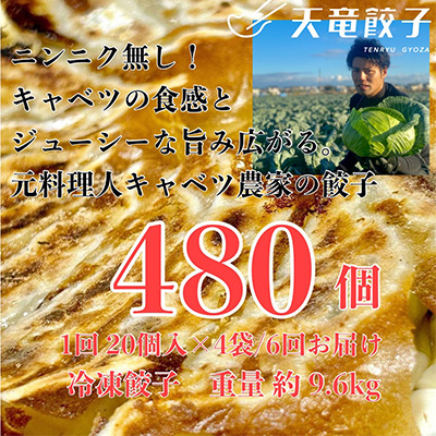 【毎月定期便】静岡発!キャベツの旨さを追及した【天竜餃子】80個入り/約1.6kg/全6回【配送不可地域:離島】【4007860】静岡県磐田市52000鍋セット・総菜・加工食品総菜