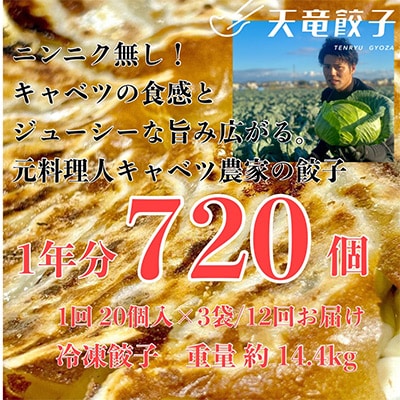 【毎月定期便】静岡発!キャベツの旨さを追及した【天竜餃子】60個入り/約1.2kg/全12回【配送不可地域:離島】【4007861】静岡県磐田市81000鍋セット・総菜・加工食品総菜