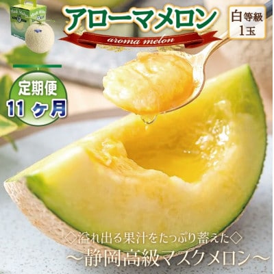 【毎月定期便】アローマメロン1玉(約1.0kg以上/玉)【静岡高級マスクメロン】全11回【配送不可地域:離島・北海道・沖縄】【4071899】静岡県磐田市110000果物・フルーツメロン・スイカ