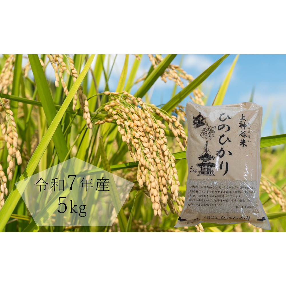 令和7年度産 上神谷米(にわだにまい)ひのひかり 5kg大阪府堺市15000米・パン白米