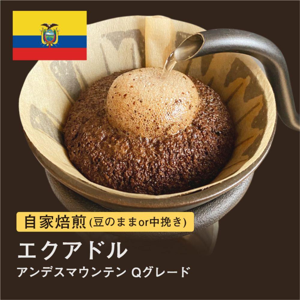 【豆】#021 エクアドル アンデスマウンテン Qグレード コーヒー豆 310g 当日焙煎 大山珈琲大阪府堺市5000お茶・飲料コーヒー・紅茶