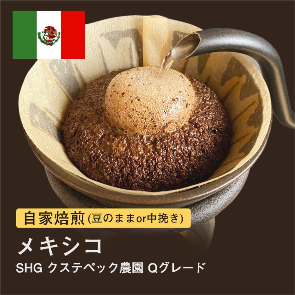 【豆】#031 メキシコ SHG クステペック農園 Qグレード コーヒー豆 310g 当日焙煎 大山珈琲大阪府堺市5000お茶・飲料コーヒー・紅茶