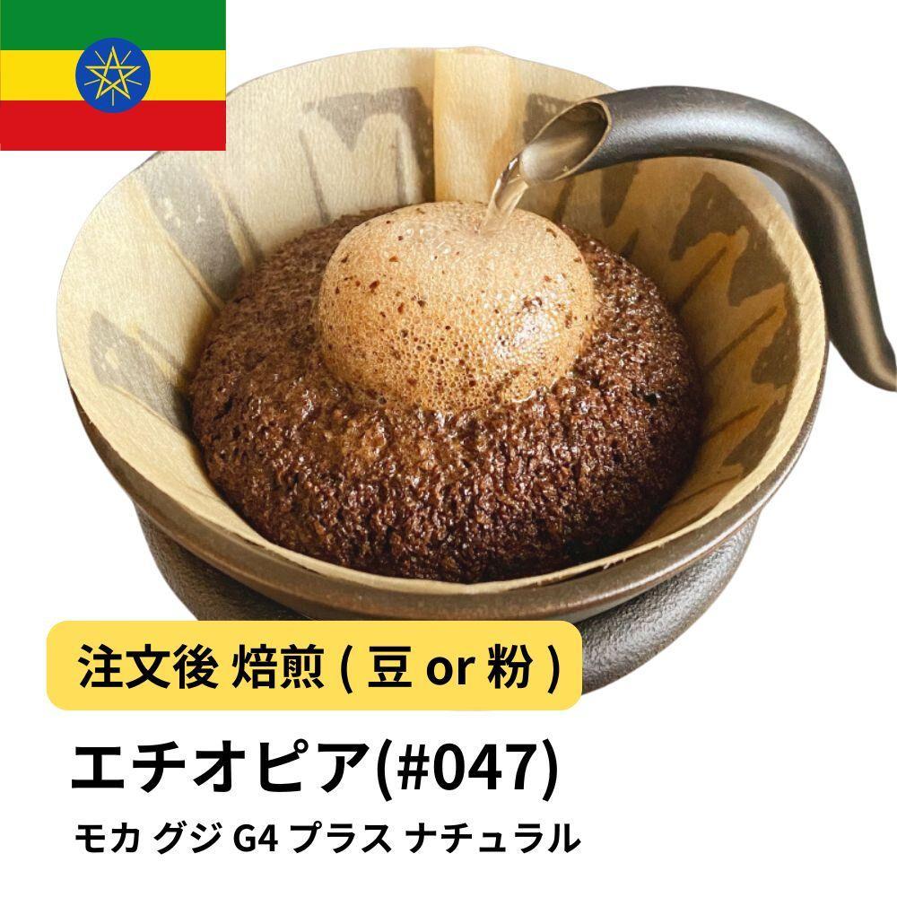 yzR[q[ #047 J OW G4 vX i` 310g  R{s5000ER[q[Eg