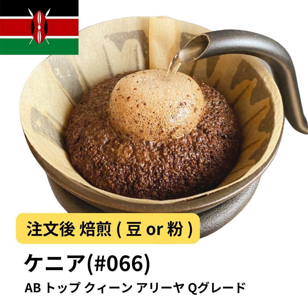 【粉】コーヒー #066 ケニア AB トップ クィーン アリーヤ Qグレード 310g 当日焙煎 大山珈琲大阪府堺市5000お茶・飲料コーヒー・紅茶