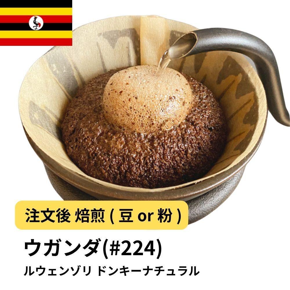 【豆】コーヒー #224 ウガンダ ルウェンゾリ ドンキーナチュラル 310g 当日焙煎 大山珈琲大阪府堺市5000お茶・飲料コーヒー・紅茶