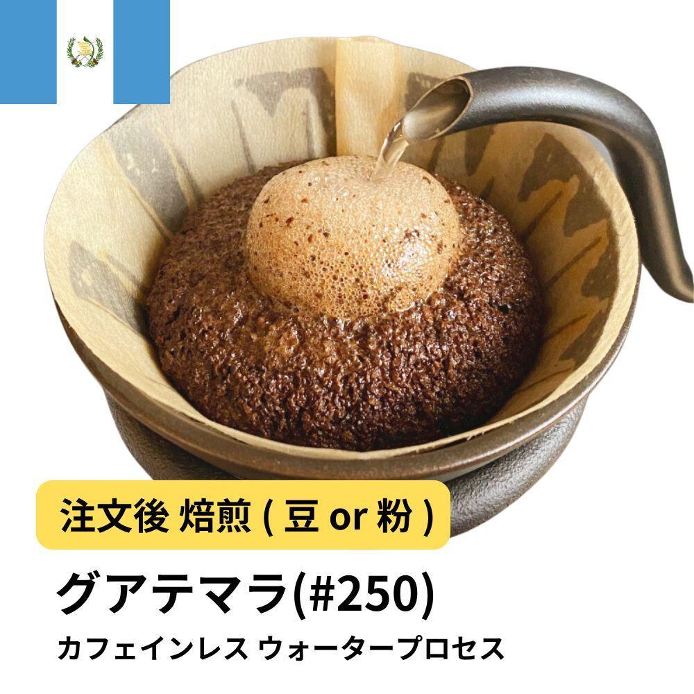 【粉】コーヒー #250 グアテマラ デカフェ ウォータープロセス 310g 当日焙煎 大山珈琲大阪府堺市5000お茶・飲料コーヒー・紅茶