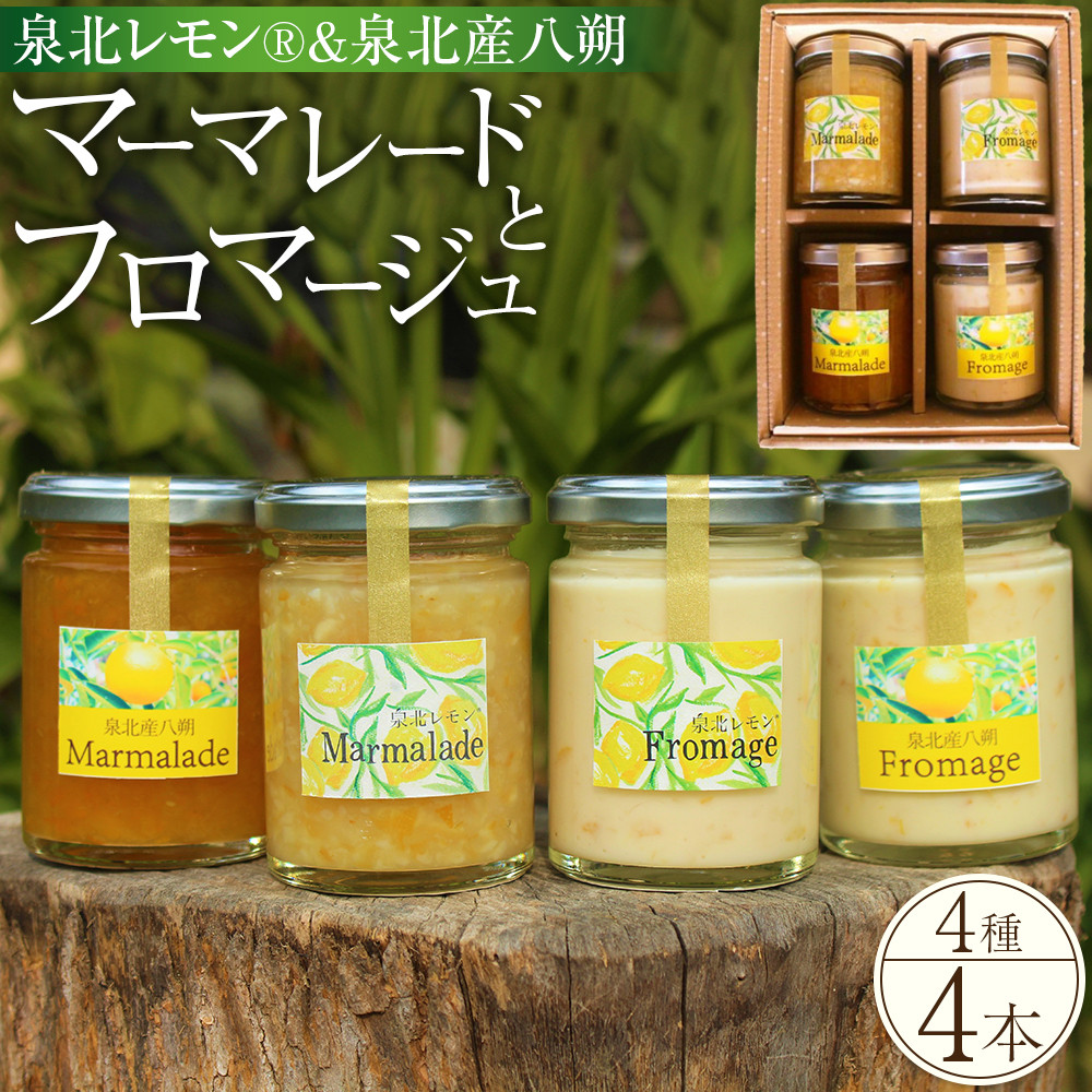 k(R)kY}[}[hƃt}[W4{Zbg{s15000ZbgE؁EHHiWE݂͂