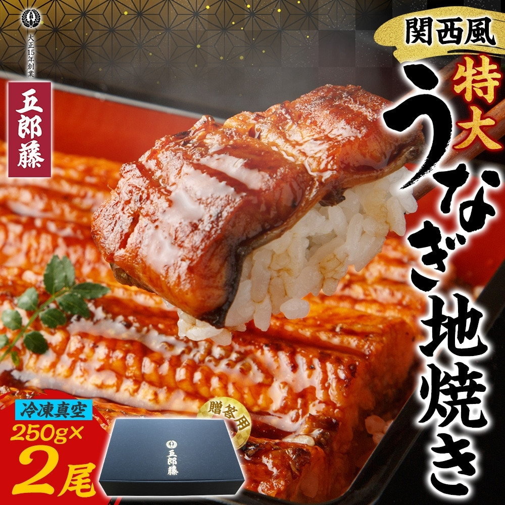 関西風うなぎ地焼き特大 冷凍真空 2尾×250g  贈答 うなぎ ウナギ タレ 老舗 伝統 蒲焼き 小分け 丑の日 ひつまぶし うな重 お取り寄せ グルメ プレゼント 贈答 贈り物 土用の丑の日 五郎藤 大
