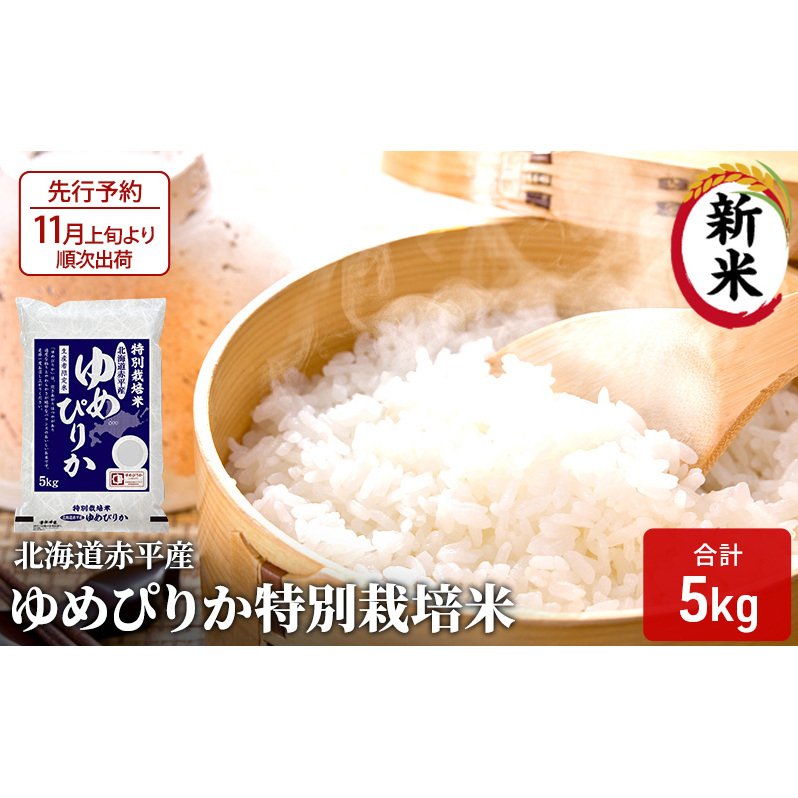 ys\2025NYāE11{菇oׁzkCԕY ߂҂肩 5kg ʍ͔|   kC kCԕs18000āEp