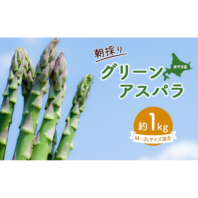 AXp kC ̂ tO[AXp 1kgmق肮_n 2026N4{o׊Jns\  AXpKX O[AXp { Ƃꂽ  Yn YҒ  k