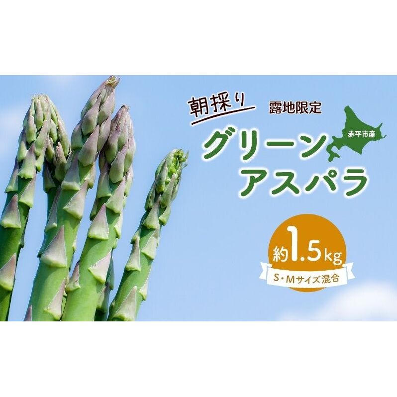 AXp kC 1.5kgÎ InO[AXpiMESTCYjmق肮_n2026N5{o׊Jns\   AXpKX { Ƃꂽ  Yn kC