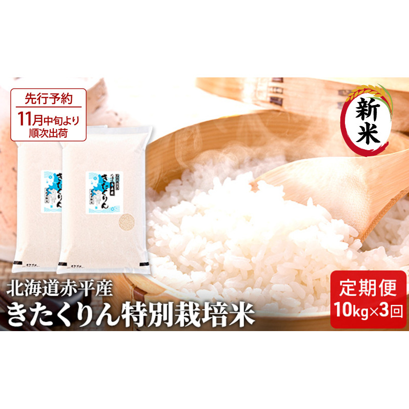 ys\2025NYāE11{菇oׁzkCԕY  10kg (5kg×2) ʍ͔| y3񂨓͂z   kC   kCԕs100000āEp