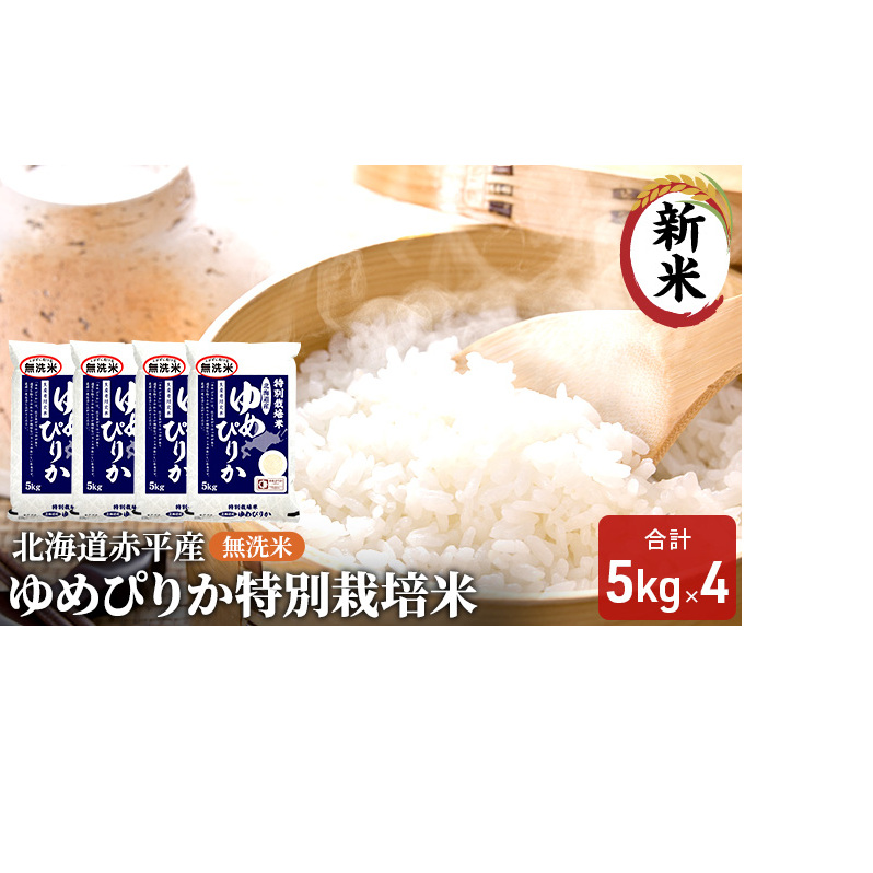  kCԕY ߂҂肩 20kg (5kg×4) ʍ͔|  kC  ӂ邳Ɣ[ kCԕs74000āEp