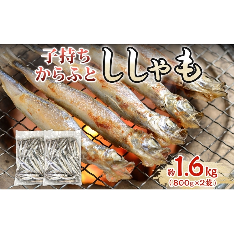 子持ちからふとししゃも 約1.6kg(800g×2) 樺太 魚シシャモ メス おつまみ 魚貝類 干物 量販店 居酒屋 馴染み 人気 卵 詰まった 塩 味付け 北海道赤平市11000魚介・海産物その他 魚介・海産物
