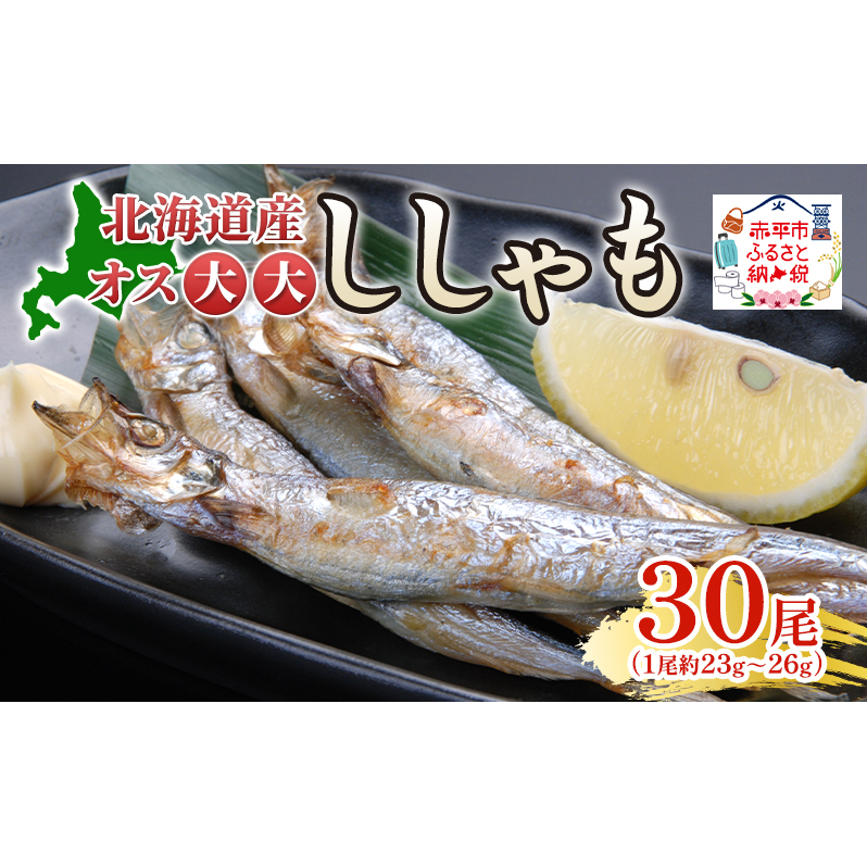 北海道産ししゃもオス大大30尾 北海道 稀少 魚 シシャモ オス おつまみ 魚貝類 干物 本物 人気 希少 塩 味付け 脂のり 旨み 美味しい 大きい北海道赤平市19000魚介・海産物その他 魚介・海産