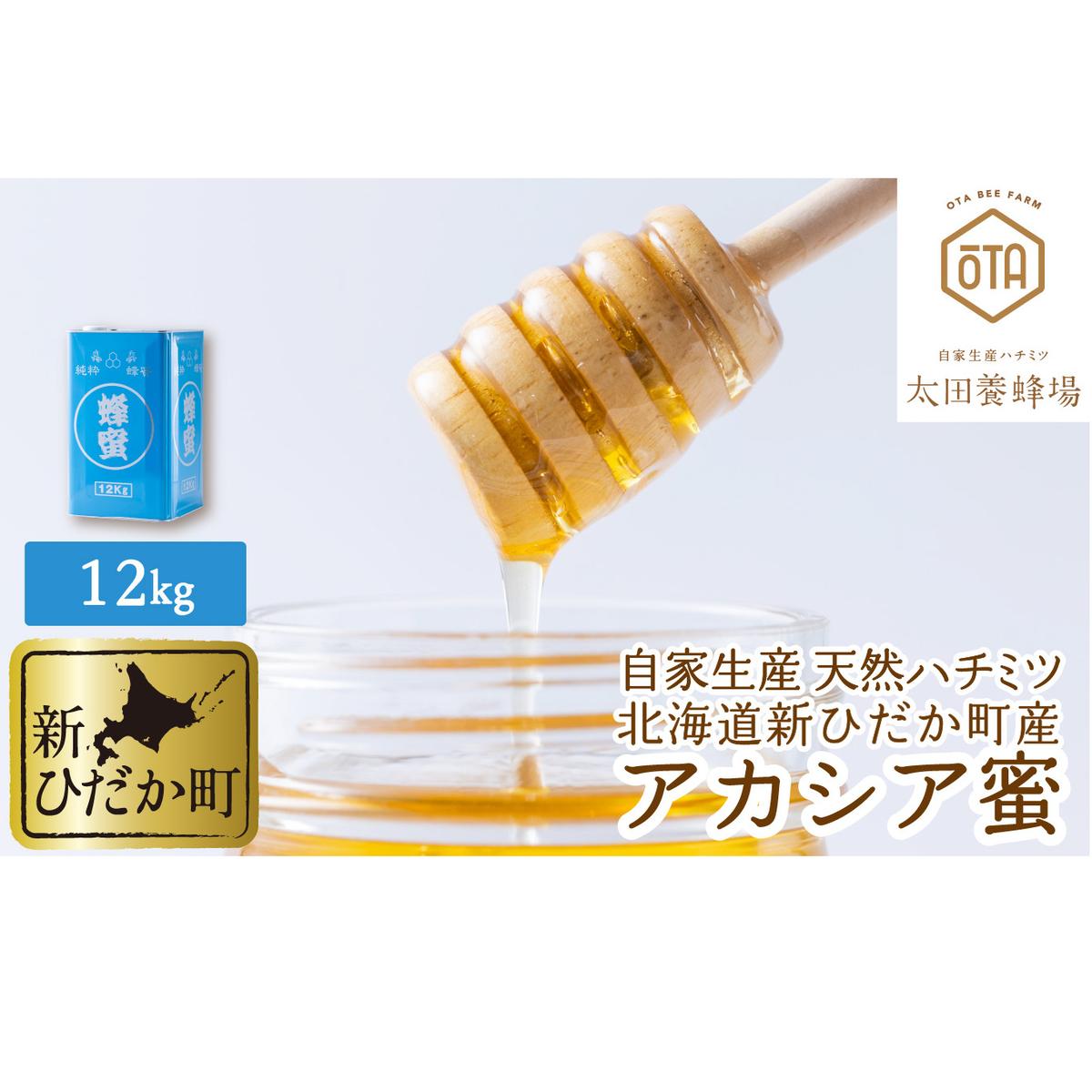 北海道産 天然 はちみつ アカシア蜜 12kg北海道新ひだか町290000鍋セット・総菜・加工食品その他 鍋セット・総菜・加工食品