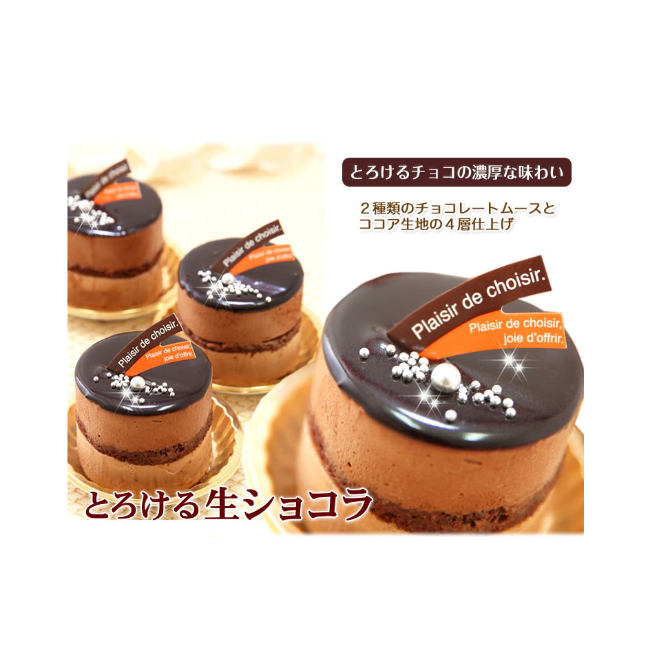 リッチな味わい♪チョコレートケーキ『とろける生ショコラ』 北海道・新ひだか町のオリジナルケーキ北海道新ひだか町17000菓子・スイーツケーキ・カステラ