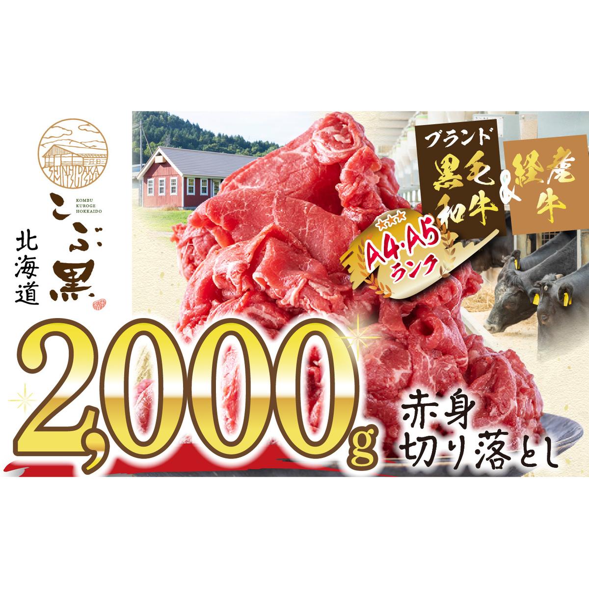 󂠂 kCY јa ԍ A5 A4 Ԑg ؂藎Ƃ v 2kg (500g×4pbN)kCVЂ34000